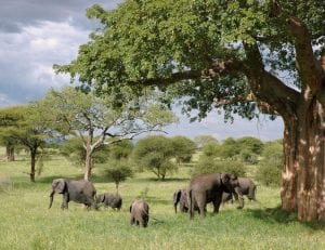11 Places to Plan Your Next African Family Vacation - Demand Africa