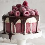 Chocolate Raspberry Ice Cream Cake 700x489