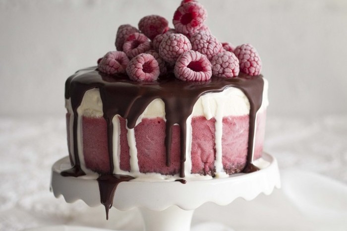 Chocolate Raspberry Ice Cream Cake 700x489