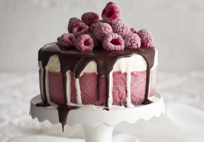 Chocolate Raspberry Ice Cream Cake 700x489