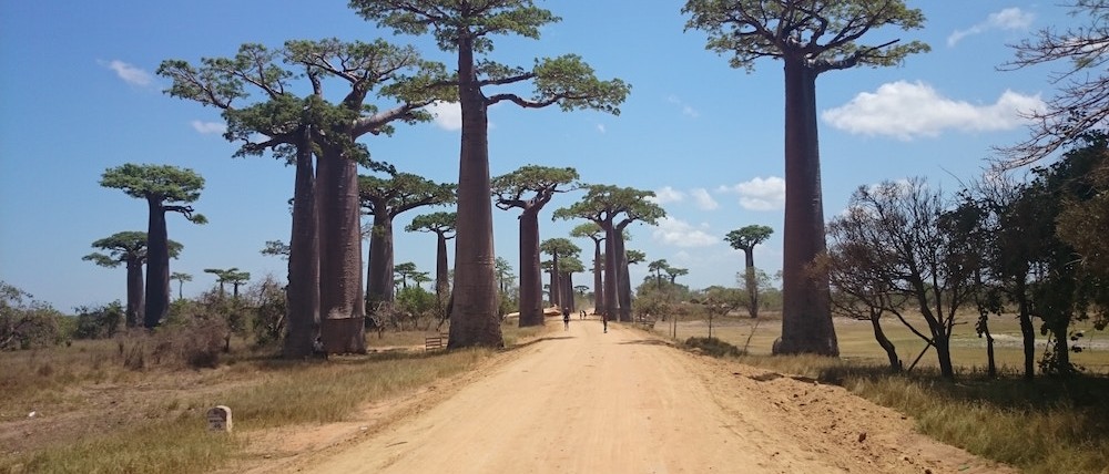 Madagascar ange colonna