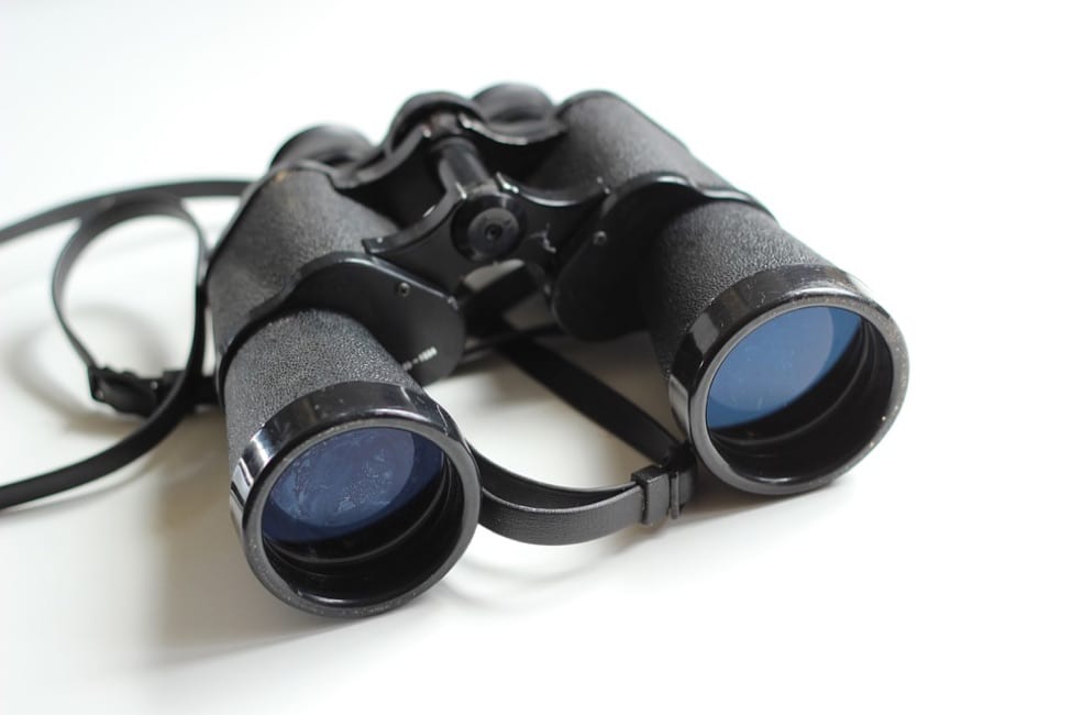 SafariTravelBag7 Binoculars