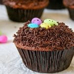 chocolate easter nest cupcakes 700x490