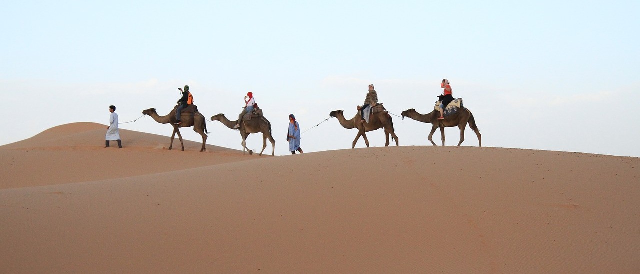 African Bucket List Desert