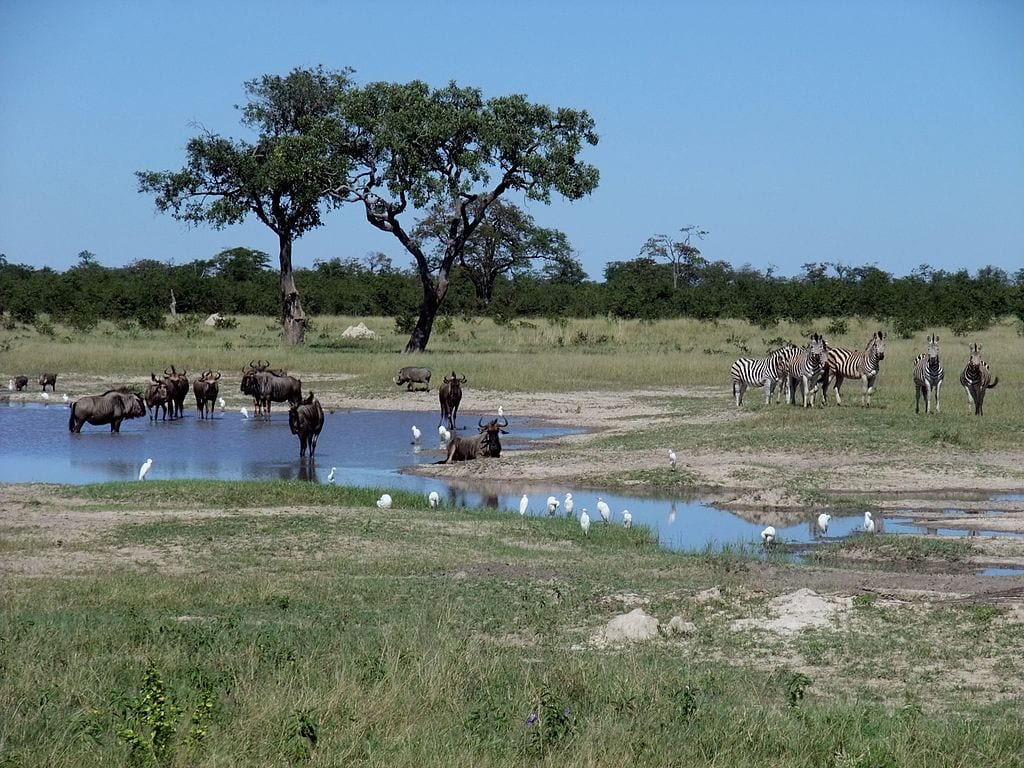 Botswana Travel Guide Image 4