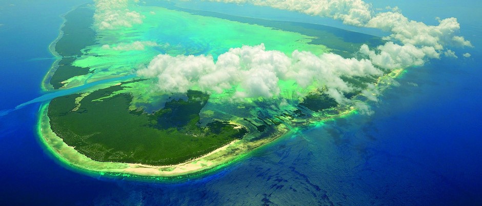 Seychelles aldabra