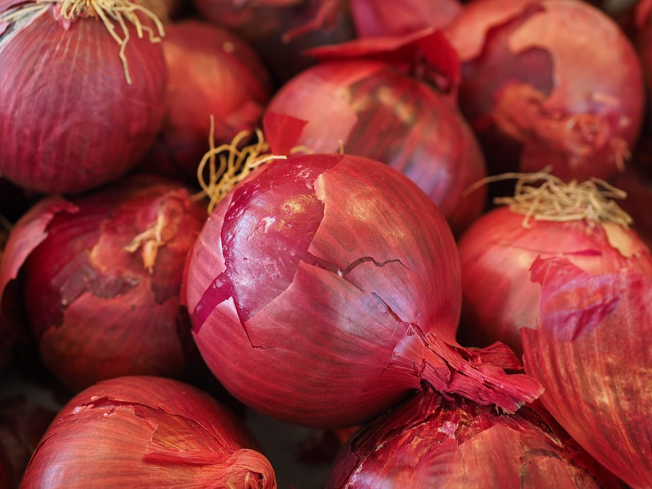 basic ingredients Onion