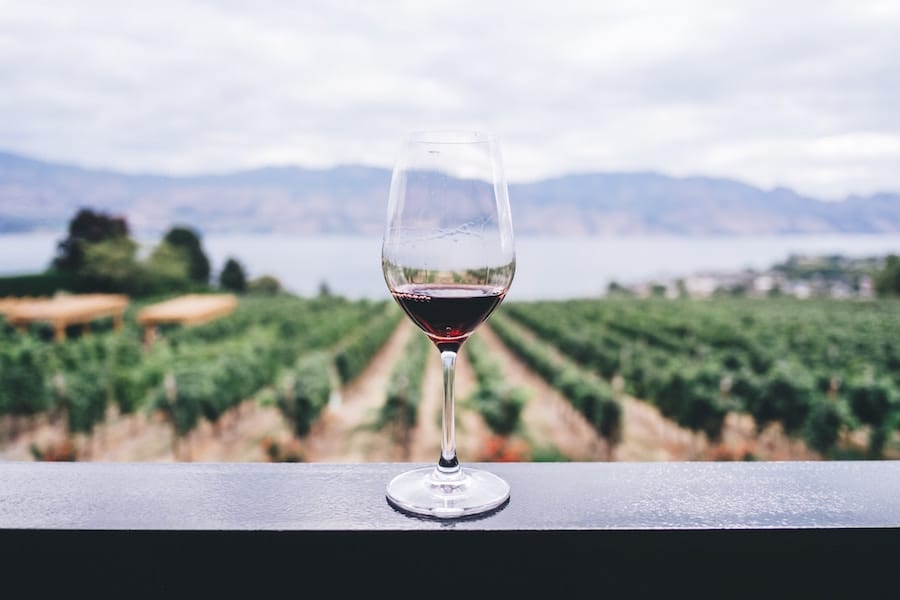 Luxury Getaway Cape Winelands glass