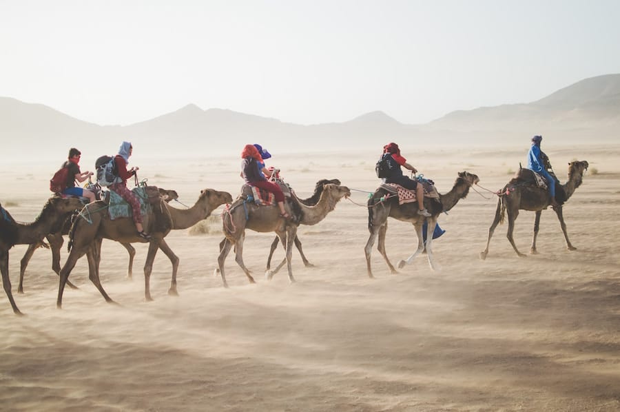 Luxury Getaway camels