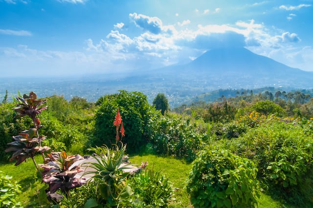 Rwanda Travel Guide Hills