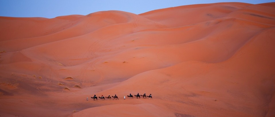 camel trekking morocco erg chebbi 1