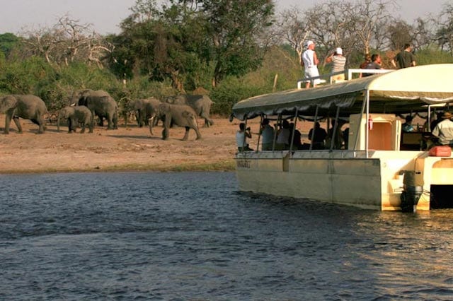 15 Things To Do In Botswana For The Whole Family Chobe River Boat Cruises in botswana