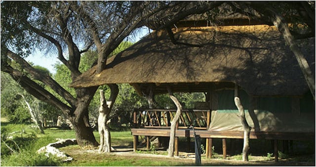 15 Things To Do In Botswana For The Whole Family edos camp in botswana