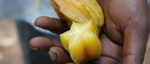 African food facts starfruit