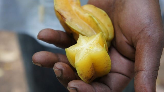 African food facts starfruit