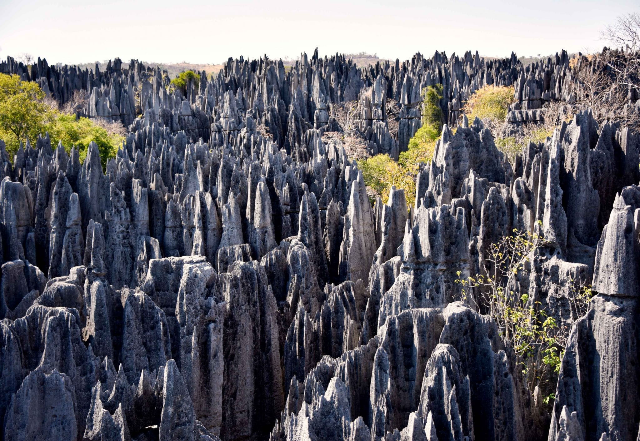 Big Tsingy Madagascar Travel Guide