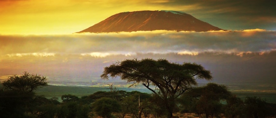 Movies About Africa