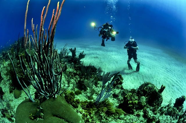 Scuba Diving in Africa divers