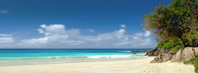 Seychelles Travel Guide beach