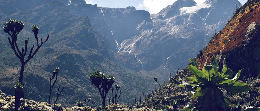 Rwenzori Mountains Uganda