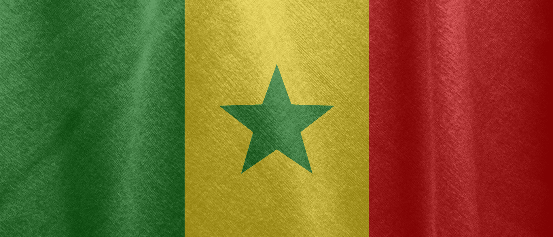 Senegal Flag Fabric